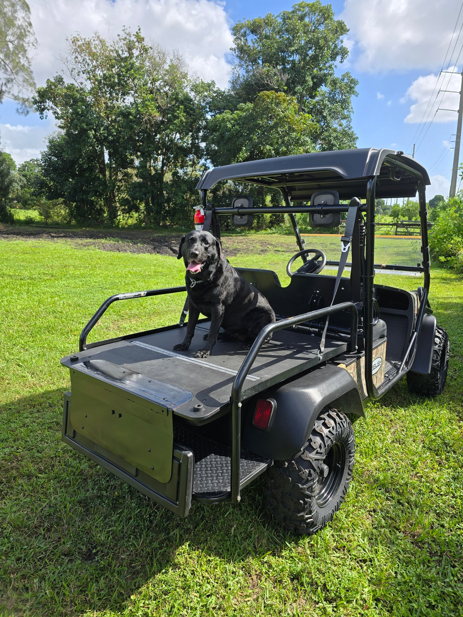 k9 coffee dog sieba on the back of a off road vehicle